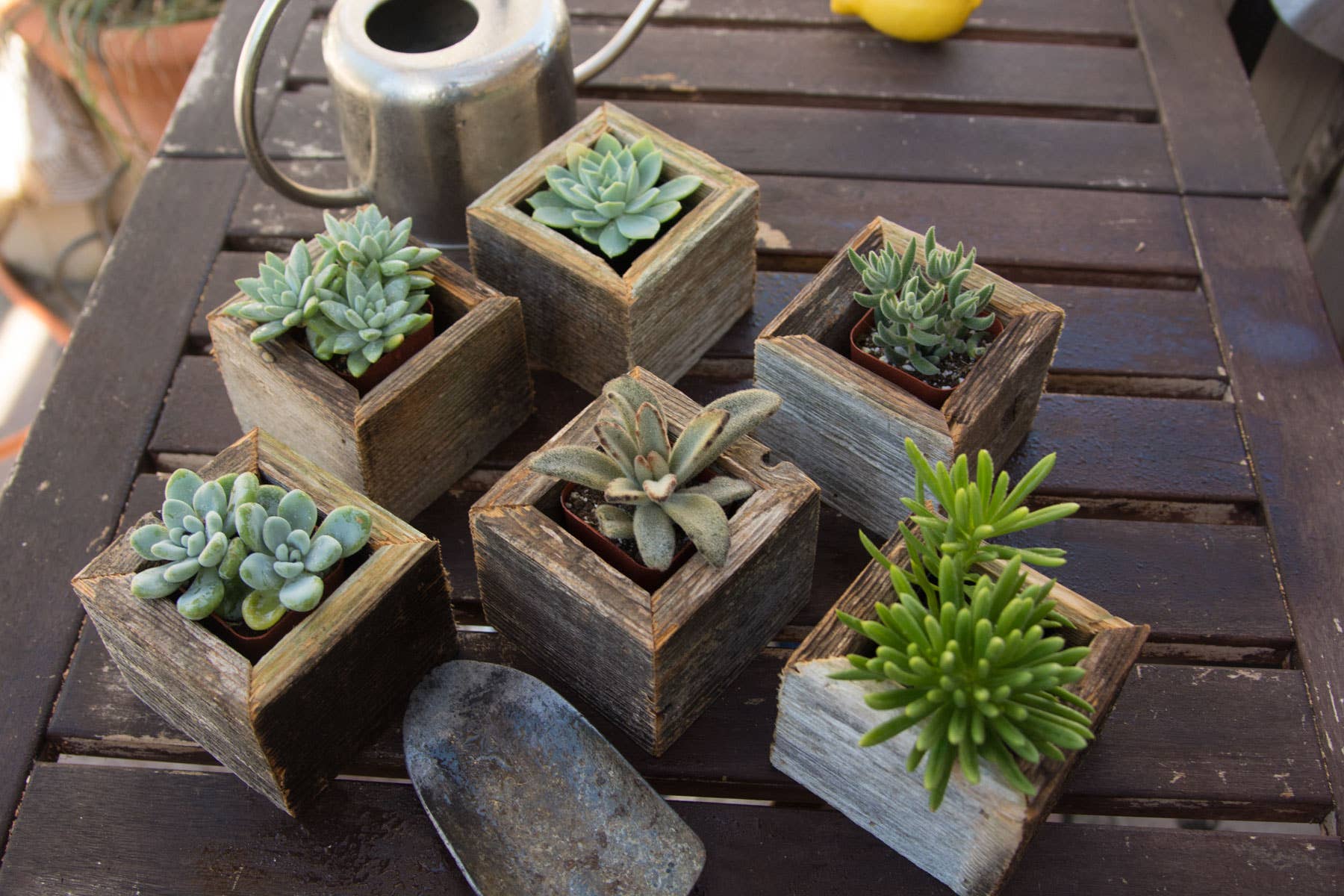 Mini Planter Box Reclaimed Wood Mini Square Planters / Favor Boxes | Dynamite's Vintage